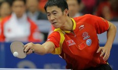 开云下载-关于韩国队碾压法国队，王皓惊艳四座的信息