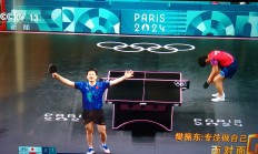 开云体育-比利时乒乓球队绝杀法国乒乓球队，王皓关键制胜的简单介绍