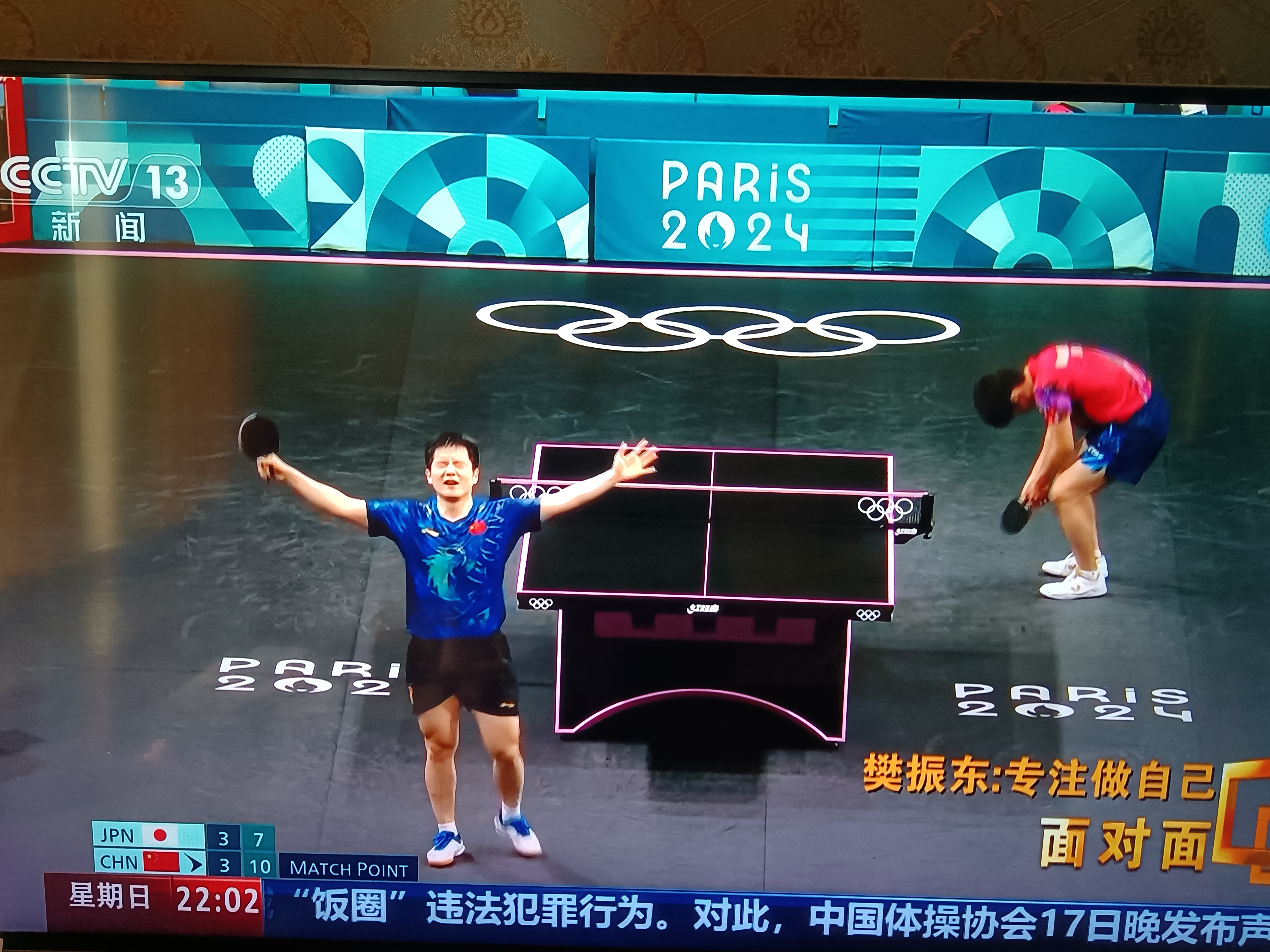 比利时乒乓球队绝杀法国乒乓球队，王皓关键制胜的简单介绍