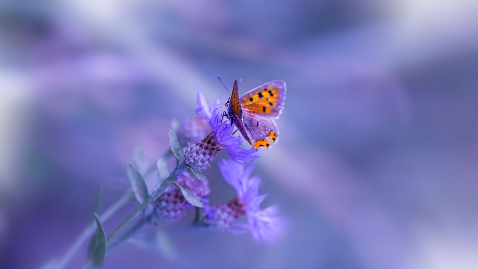 终场哨前的奇迹，萨内一锤定音，英格兰绝杀葡萄牙改写历史