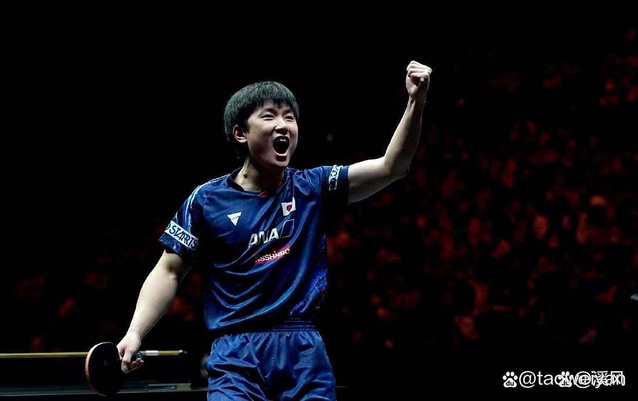 日本队险胜波兰队，张本智和关键制胜的简单介绍