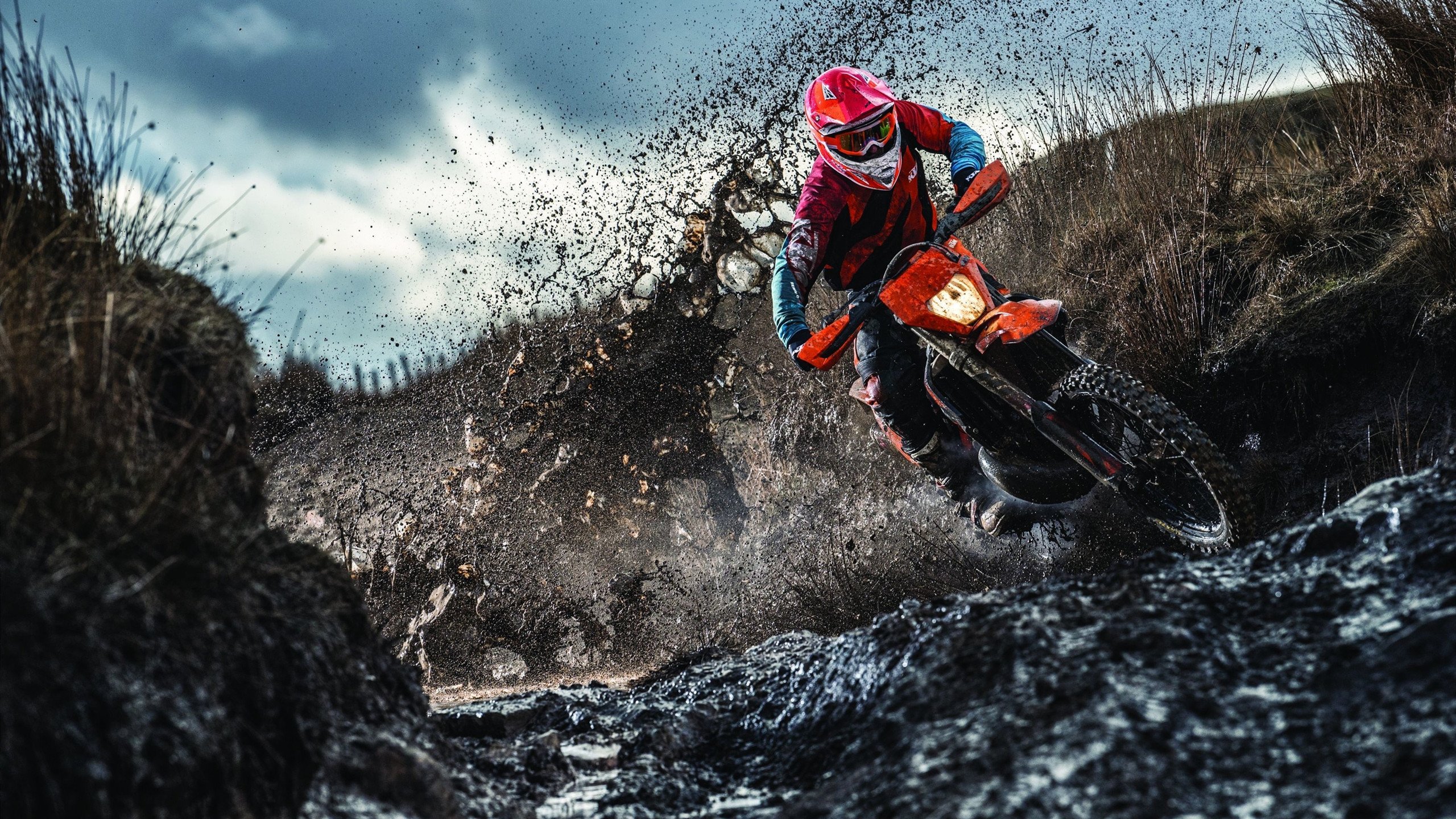 锁链与利刃，快船窒息防守冻结北境，霍勒迪无解攻势撕裂防线