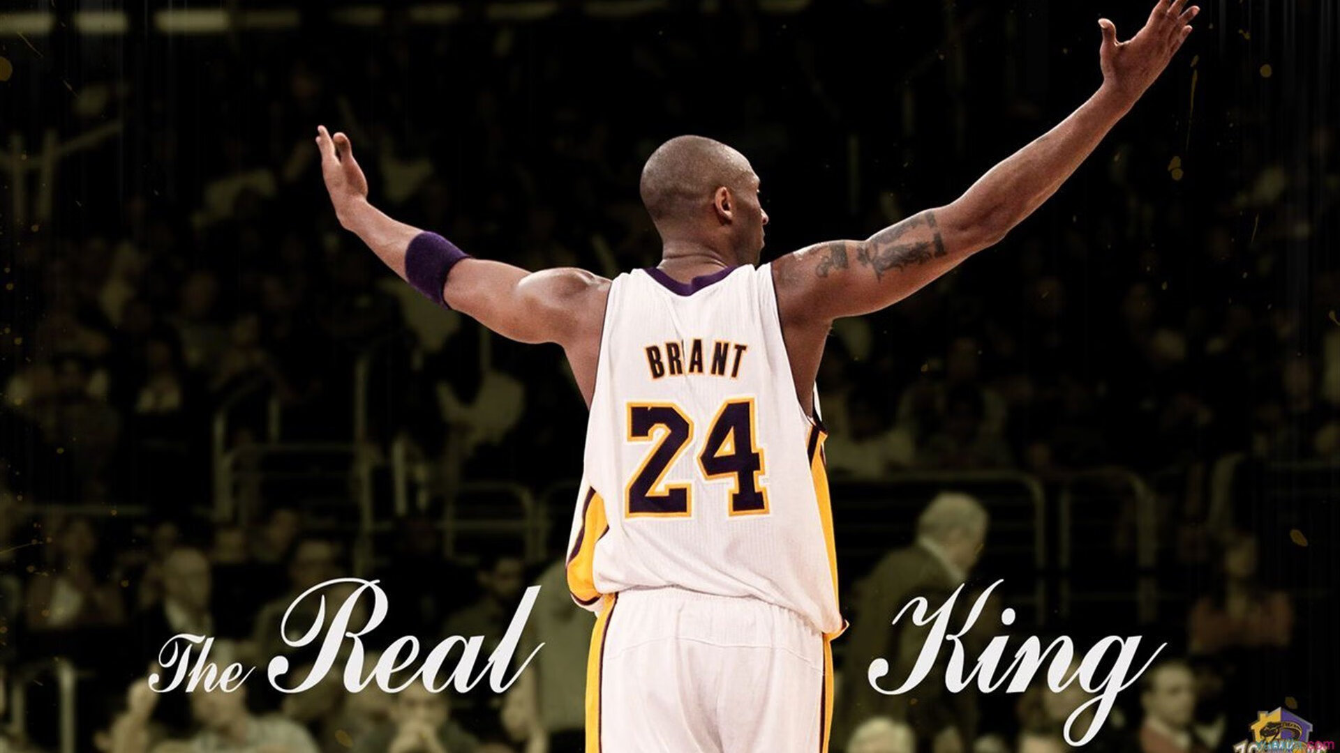 国王对阵深圳队,贝恩如入无人之境,彻底打爆防线